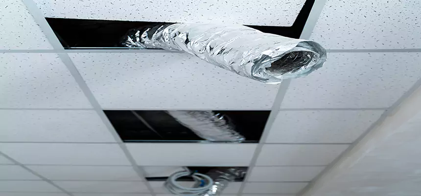 Our Air Duct Pet Hair Removal Services in Eagle Mountain, UT