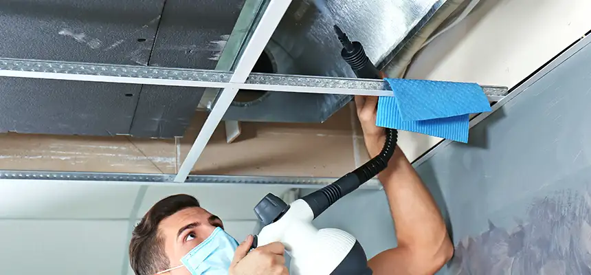 Our Air Duct Rodent Removal Services in Eagle Mountain, UT