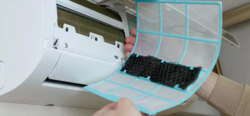 Gentle Ductwork Odor-Control Pet Dander Duct Cleaning in Eagle Mountain, UT