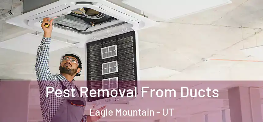  Pest Removal From Ducts Eagle Mountain - UT