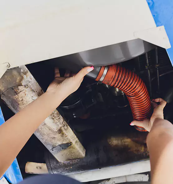 About Air Duct Virus Disinfection in Eagle Mountain, UT