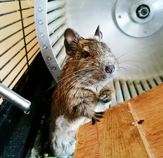 Why Homeowners & Businesses Trust Us Eagle Mountain, UT